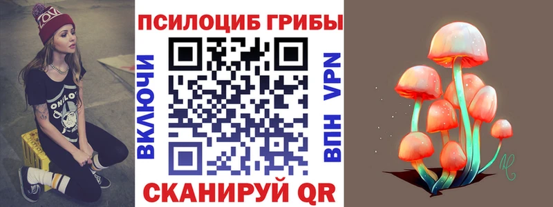 blacksprut зеркало  цена наркотик  Орск  Псилоцибиновые грибы GOLDEN TEACHER 